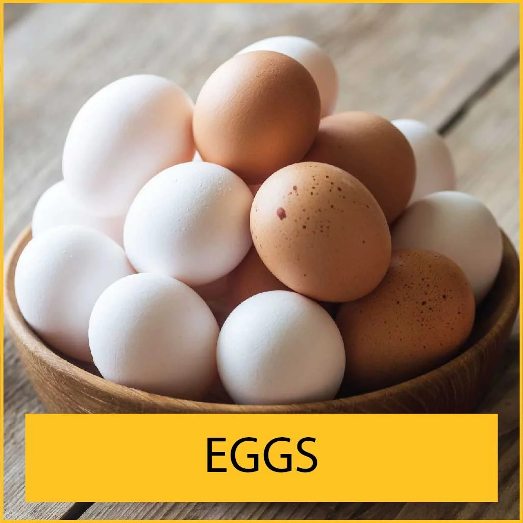 Dairy Max Products-Eggs List