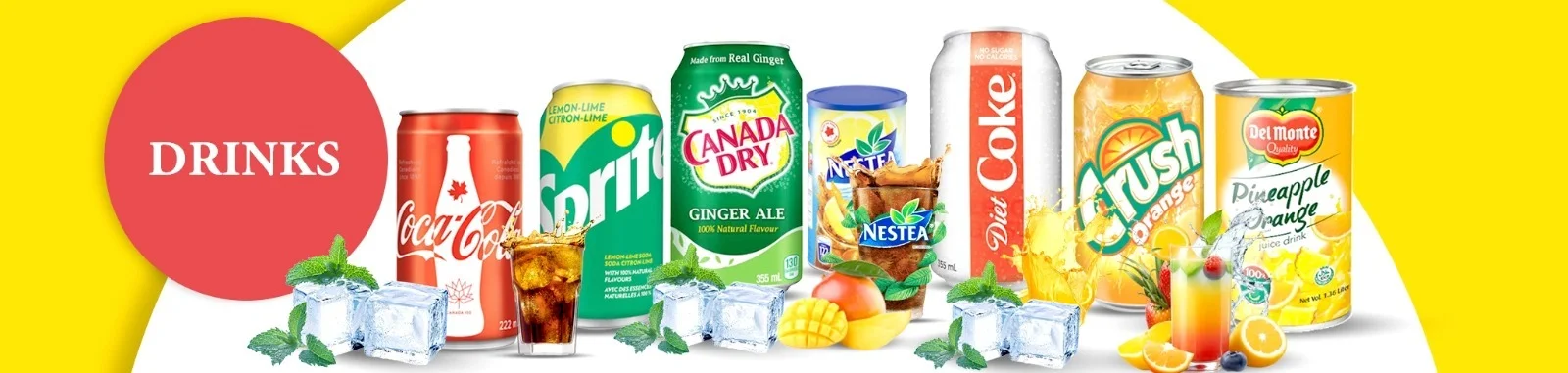 Dairy Max Products - Drinks