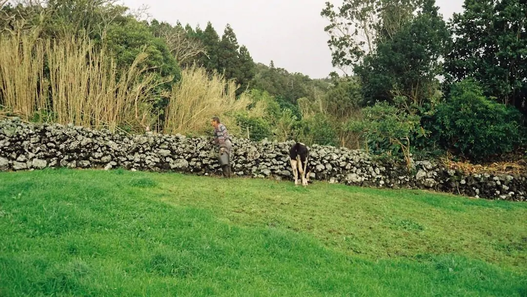 Environmental Impact of Dairy Milk