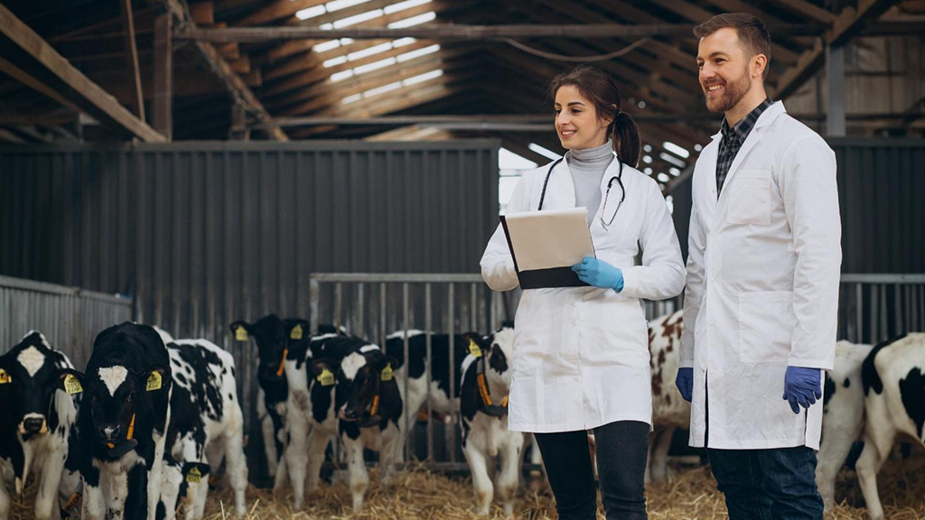 best dairy companies