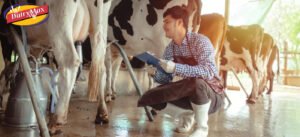 Reliable dairy suppliers play a crucial role in balancing dairy production and consumer demand